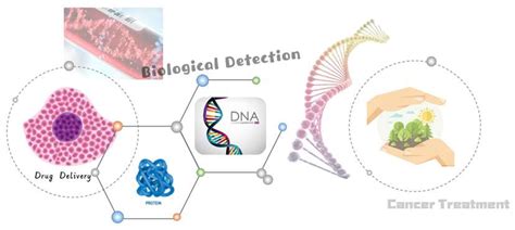 Custom Alkyl Magnetic Beads CD Bioparticles