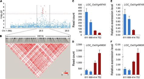 Frontiers Genome Wide Association Study Of Pericarp Color In Rice