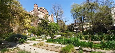 A Milano Dalla Biblioteca Degli Alberi All Orto Botanico Di Brera