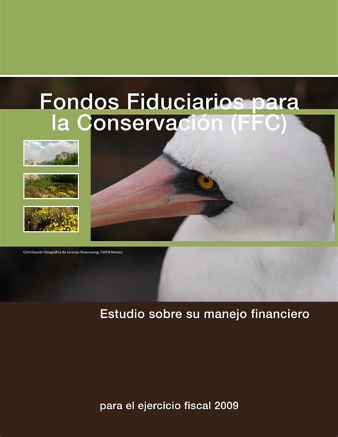 Pdf Fondos Fiduciarios Para La Conservaci N Ffc El Equivalente De