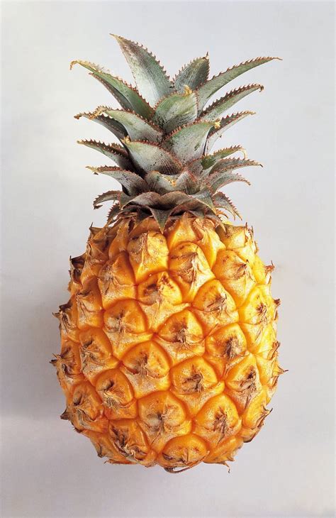 Bilhete De Identidade Da Fruta Pineapple