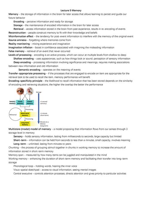 Lecture 9 Memory Psyc 100 McGill Studocu