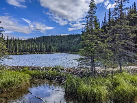 Horseshoe Lake Trail And Hike In Denali National Park Alaska