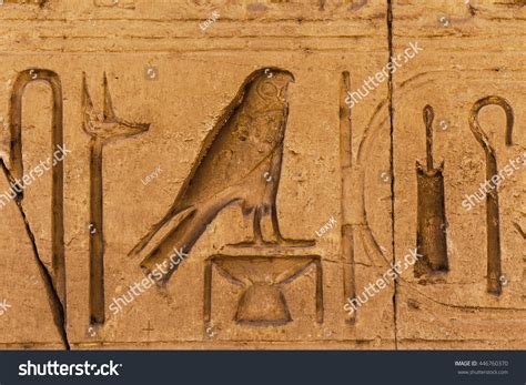 Egypt Hieroglyphs Bird Egyptian Hieroglyph Closeup Stock Photo