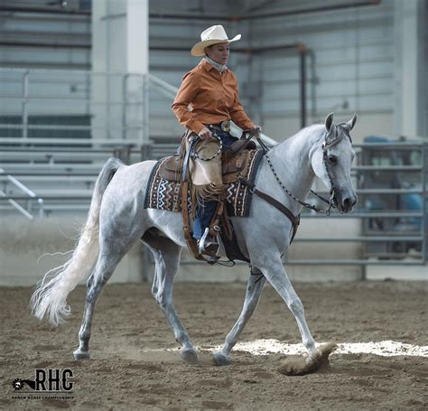 Five Things To Know About Your First Western Riding Lesson Us Equestrian