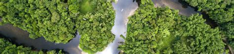 Paisagens Sustentáveis da Amazônia Brasil ASL Brasil Fase 2 FGV Europe