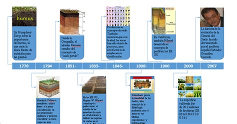 Determinaci N De Las Partes F Sicas Del Suelo Linea De Tiempo