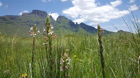 Drakensberg National Park Background Images, HD Pictures and Wallpaper ...