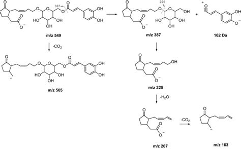 Proposed Fragmentation Pathway For Compound 13 Download Scientific