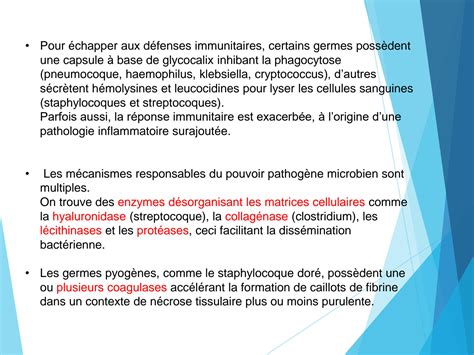 Solution Tout Savoir Sur Les Antibiotiques Studypool