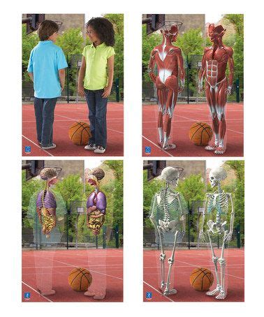 Educational Insights Inside Out Lenticular Human Body Poster