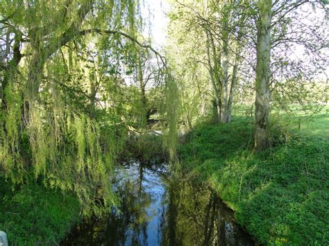 River Deben Upstream At Cretingham © Adrian S Pye Cc By Sa20