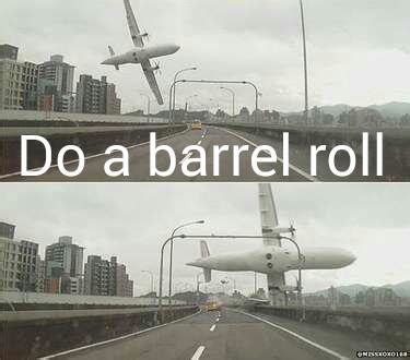 Do Barrel roll | Do a Barrel Roll | Know Your Meme