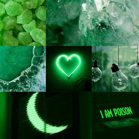 Green Aesthetic Wiki Aesthetic Universe Amino