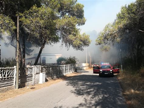 Incendi Nel Tarantino A Ginosa Marina E Lido Azzurro