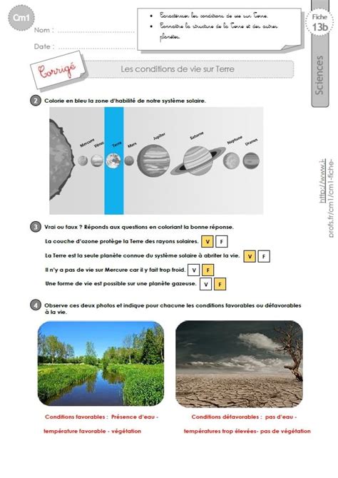 CM1 SCIENCES Et TECHNOLOGIE Exercices Conditions De Vie Sur Terre