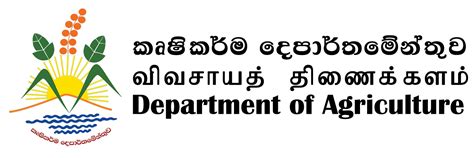 It Department Name Logo