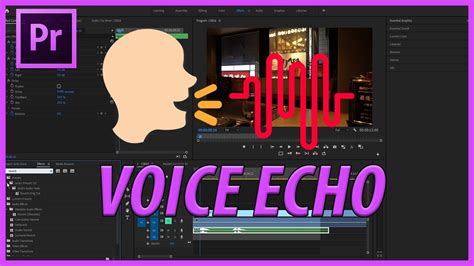 How To Add A Voice Echo In Adobe Premiere Pro Cc Youtube