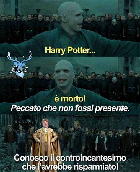 Pin Di Maril Su Salvataggi Rapidi Nel Umorismo Su Harry Potter