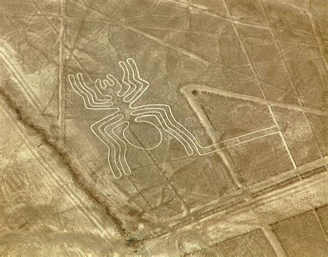 144 Lines Geoglyphs Nazca Peru Spider Stock Photos Free Royalty