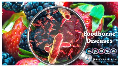 Foodborne Diseases Overview Hsse World