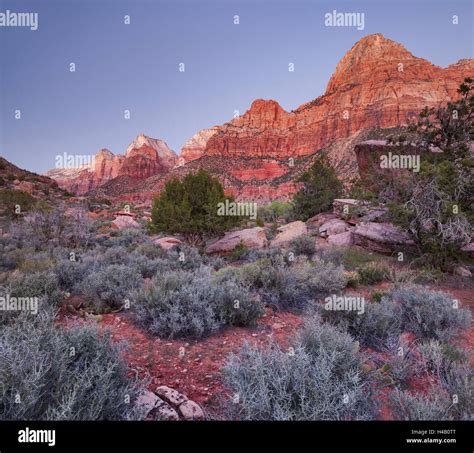 Bridge Mountain Zion National Park Utah Usa Stock Photo Alamy