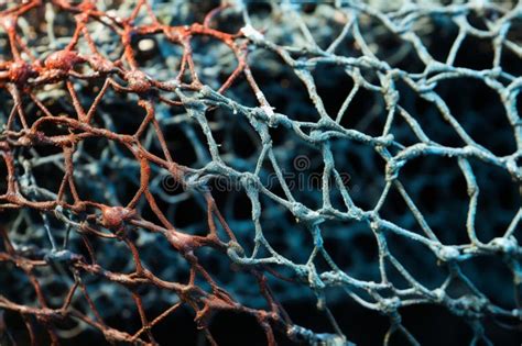 Textura Detalhada Da Malha De Peixe Criando Um Fundo Cativante E