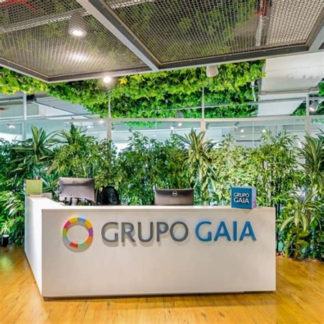 Grupo Gaia Construindo Um Mercado Financeiro Mais Humano