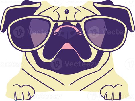 Illustration Graphic Of Pug Wearing Sunglasses Isolated Good For Logo