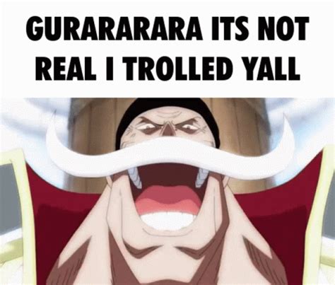 Whitebeard Edward Newgate GIF - Whitebeard Edward Newgate Gura Gura No ...