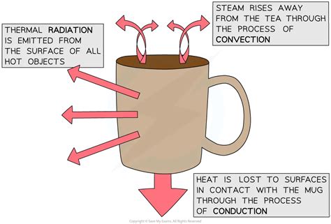 Thermal Conduction HL IB Physics Revision Notes 2025