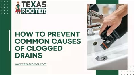 Ppt How To Prevent Common Causes Of Clogged Drains Powerpoint Presentation Id 12555041