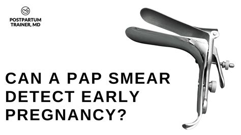 Can A Pap Smear Detect Early Pregnancy [everything You Need To Know] Postpartum Trainer Md