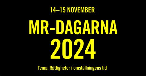 Mr Dagarna I Skellefte Amnesty Sverige