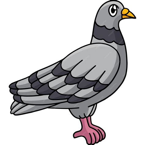 Premium Vector Pigeon Animal Cartoon Colored Clipart Illustration