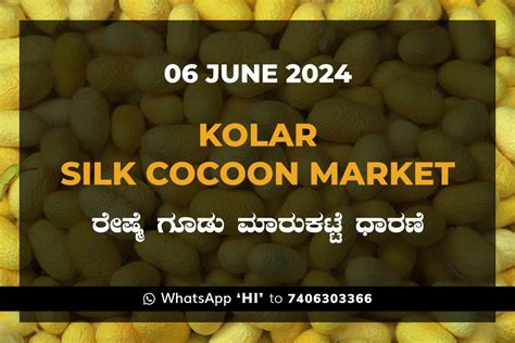 Kolar Silk Cocoon Market 07062024 Kannada Top News