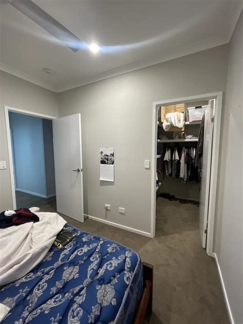 Room For Rent In Bli Bli Sunshine Coast 205 Fle Flatmates Au