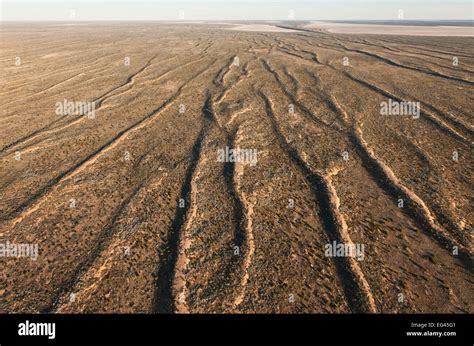 Aerial sand dunes Simpson Desert Regional Reserve. South Australia June ...