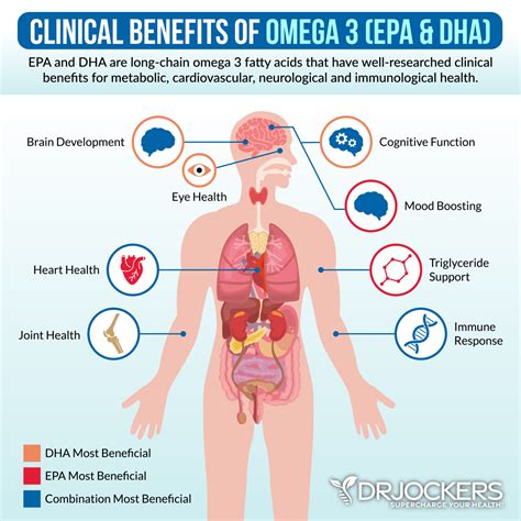 Nitric Oxide Benefits And How To Increase Levels DrJockers