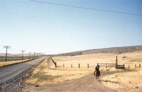 Pin By Wayne Thornton On Long Live The Cowboy Spirit Old Photos