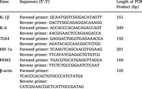 Real Time Pcr Primer Sequences Download Scientific Diagram