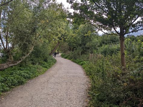 Thames Path Between Hammersmith Bridge Putney Bridge Flickr