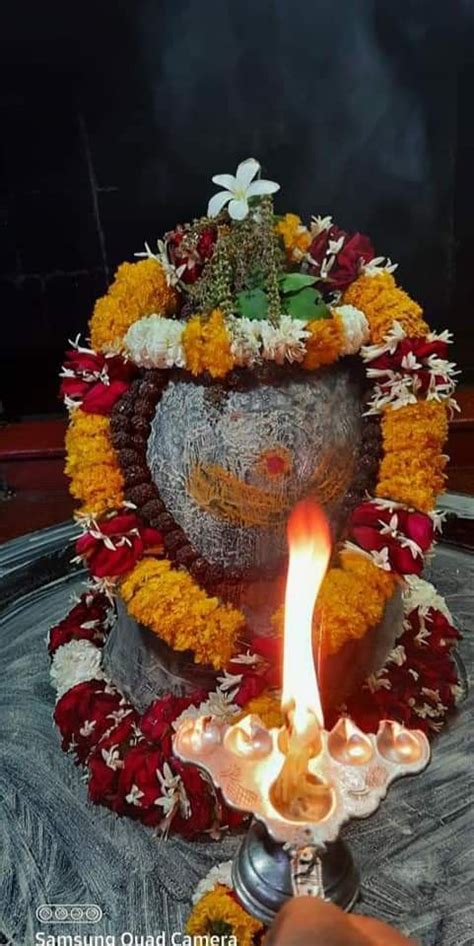 A Candle Is Lit In Front Of A Large Pot With Flowers And Leaves On It