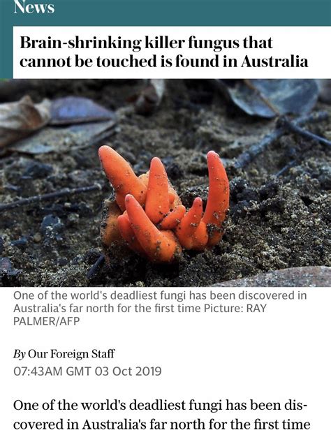 Deadly fungi : r/australia