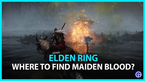 Where To Find Maiden Blood Elden Ring Gamer Tweak