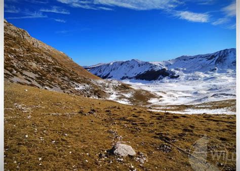 Escursioni Abruzzo Con Guide Alpine Trekking E Tanto Altro