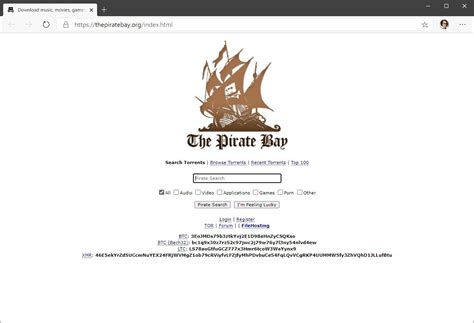 The Pirate Bay Sus Proxys Y Otros Sitios De Descargas Han Desaparecido De Los Resultados De