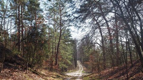 Zjadliwa grypa ptaków w Kampinoskim Parku Narodowym