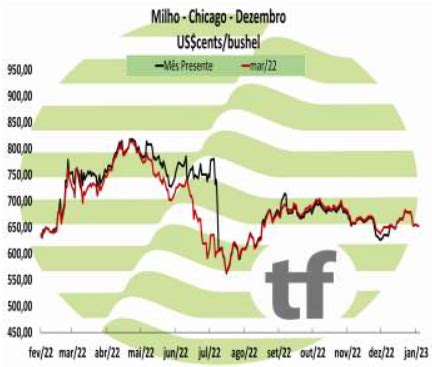 Milho Br Milho Fecha Em Alta Expectativa De Melhora Na Demanda