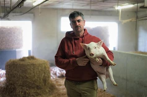 Dans les Côtes dArmor on compte plus de quatre cochons pour un